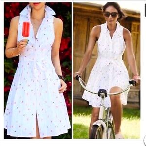 Anthropologie HD in Paris Ice Pop Dress